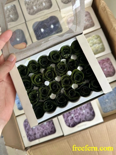 Empty Roses Carton exclusive roses 24 pcs/ carton 2-3cm preserved roses